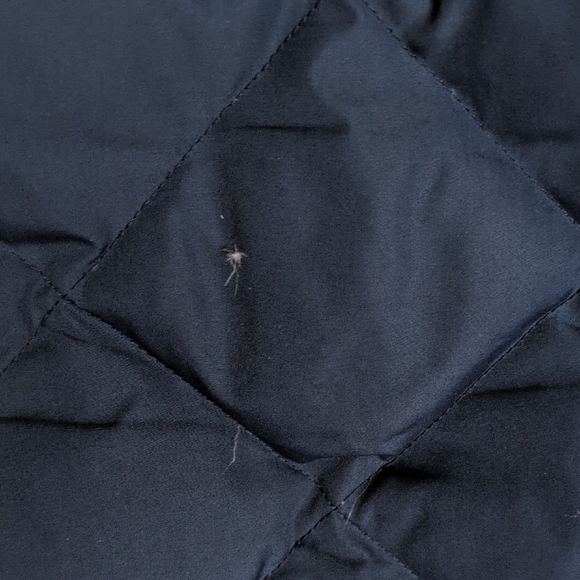 J. Crew Factory Quilted Down and Feather Vest - Picture 8 of 12